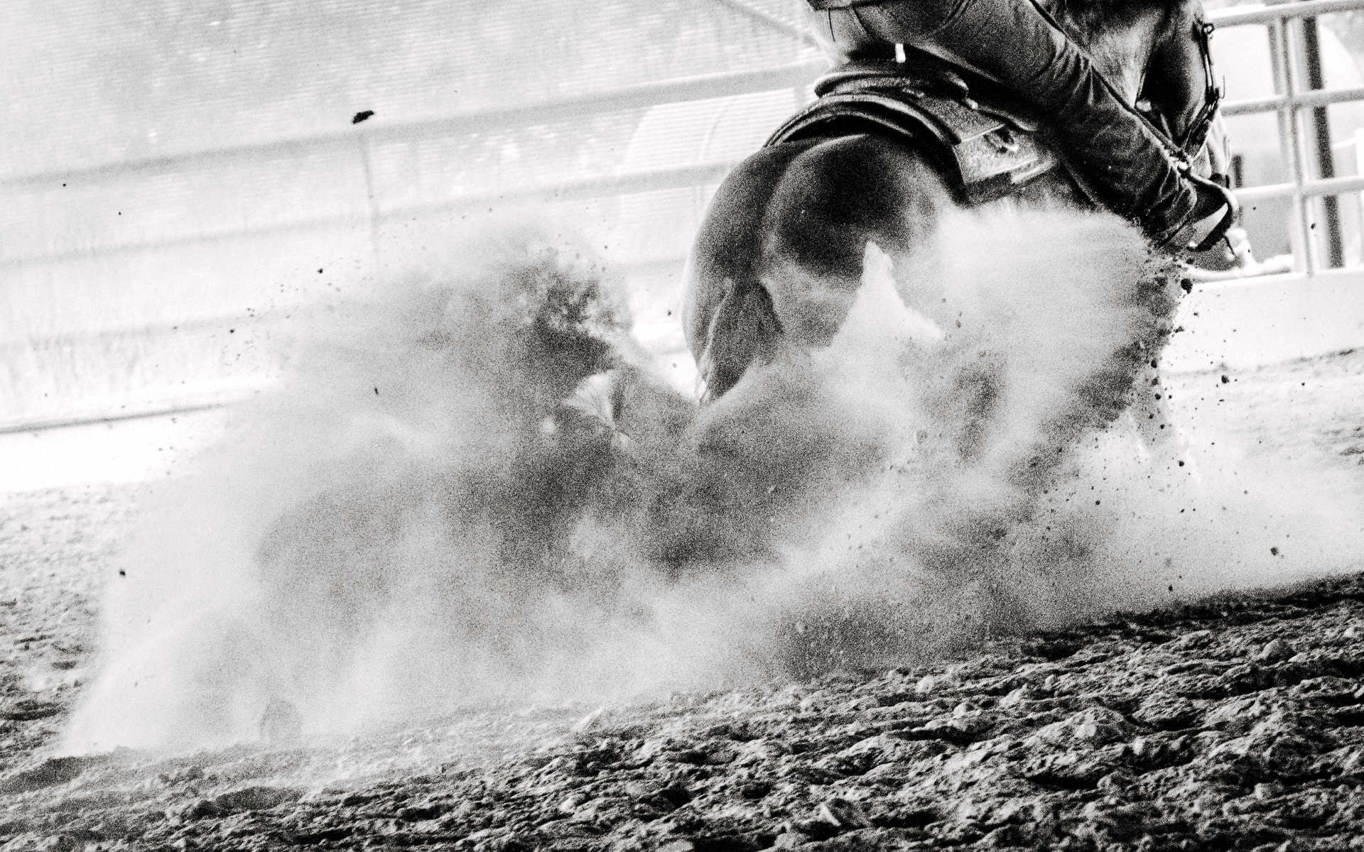 loved-gmbh_storytelling_audi_rodeo-06.jpg