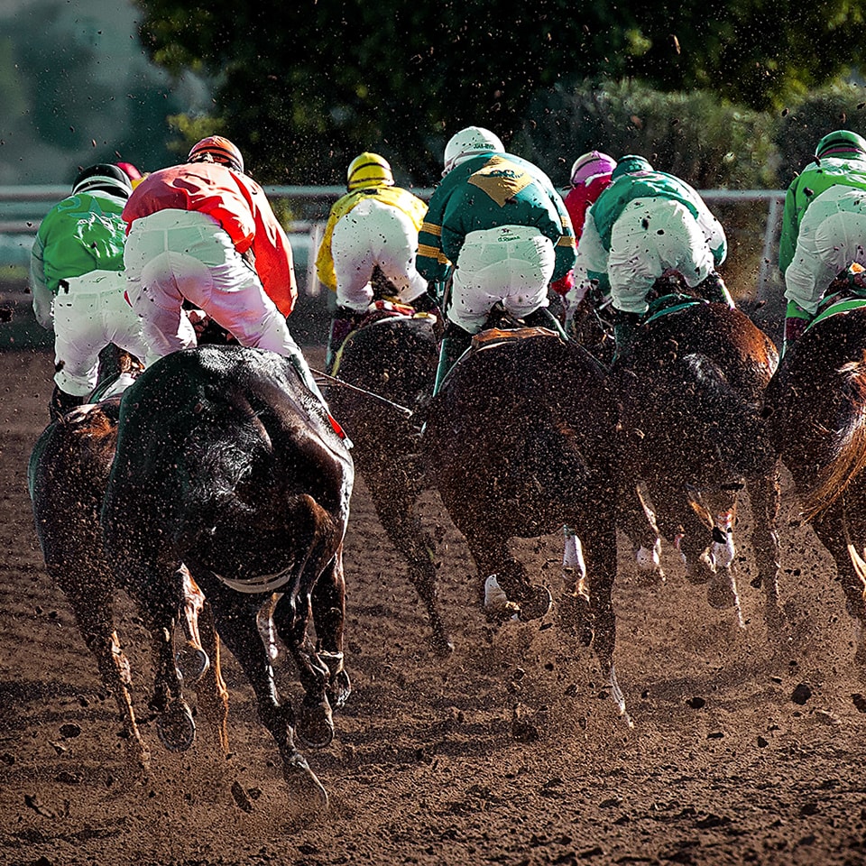 loved-gmbh_detuscher_galopp_17_150dpi.jpg
