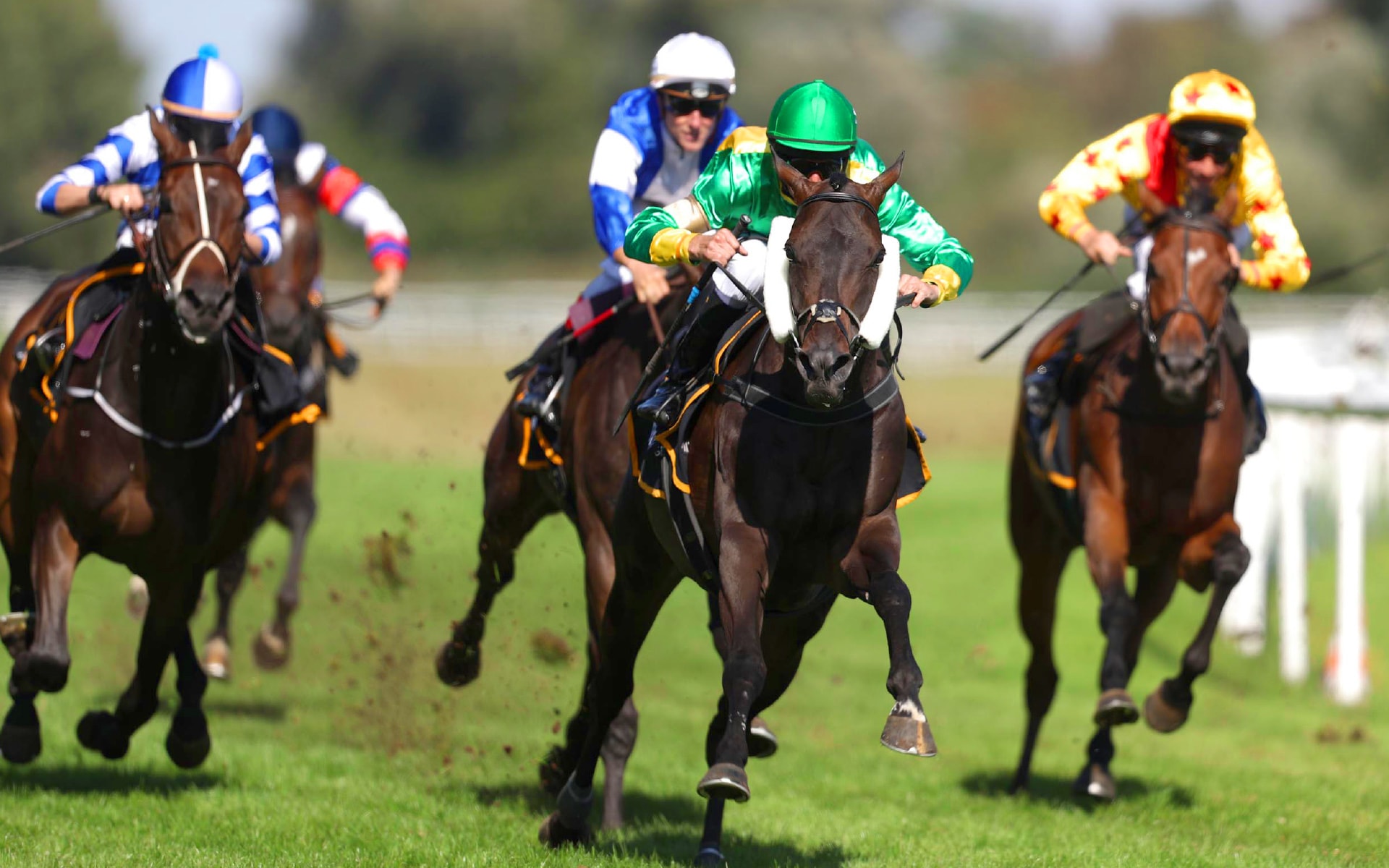 loved-gmbh_branding_deutscher_galopp-01.jpg