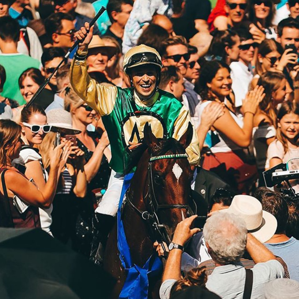 loved-gmbh_branding_deutscher_galopp-14.jpg