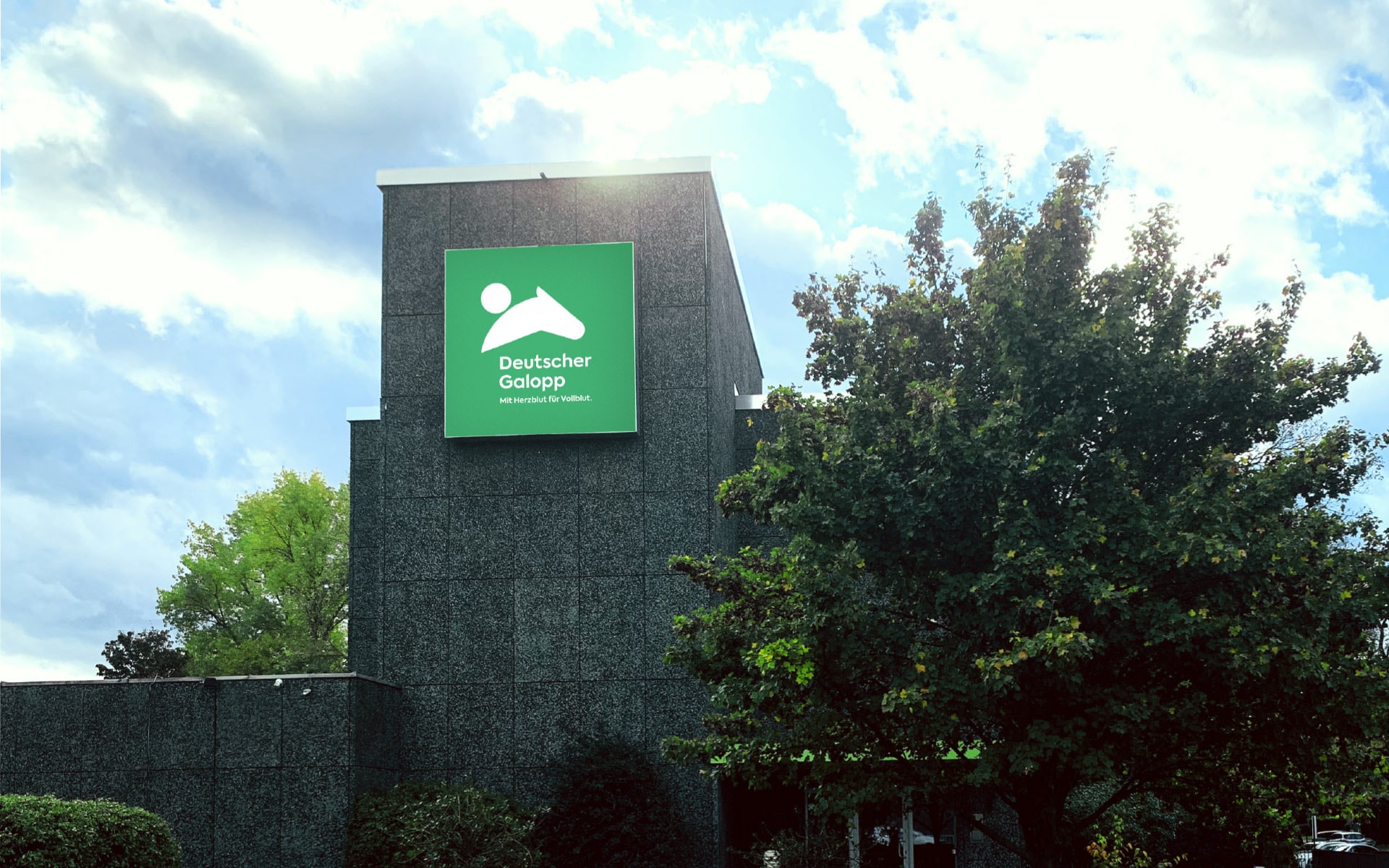 loved-gmbh_branding_deutscher_galopp-15.jpg