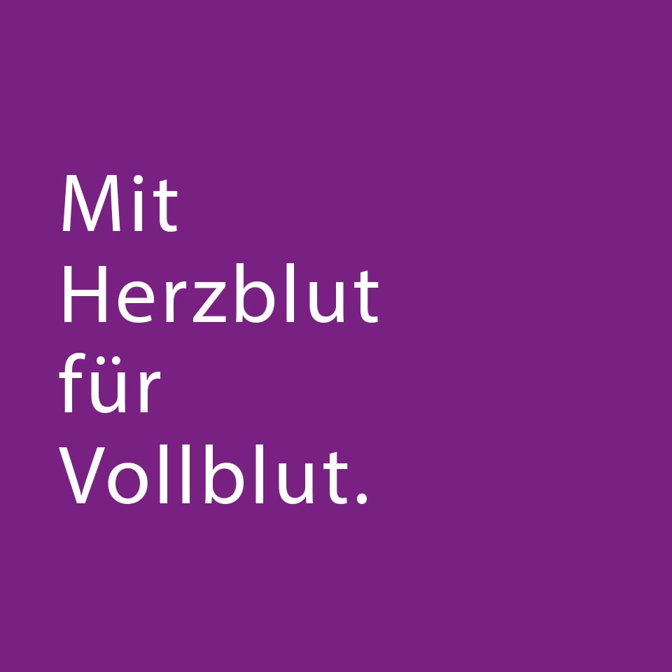 loved-gmbh_branding_deutscher_galopp-03.jpg